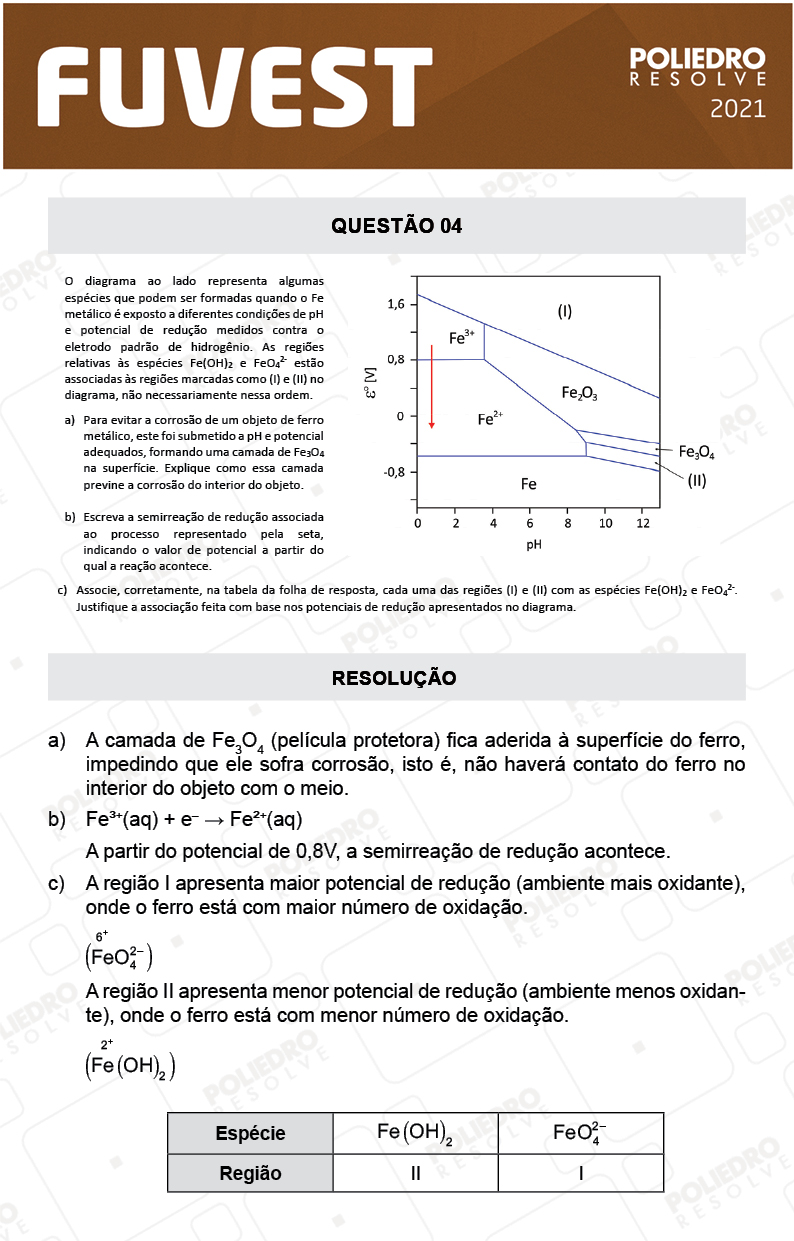 Dissertação 4 - 2ª Fase - 2º Dia - FUVEST 2021