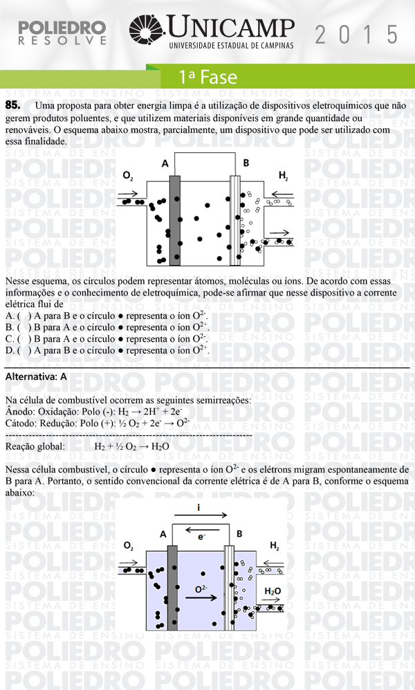 Questão 85 - 1ª Fase - UNICAMP 2015