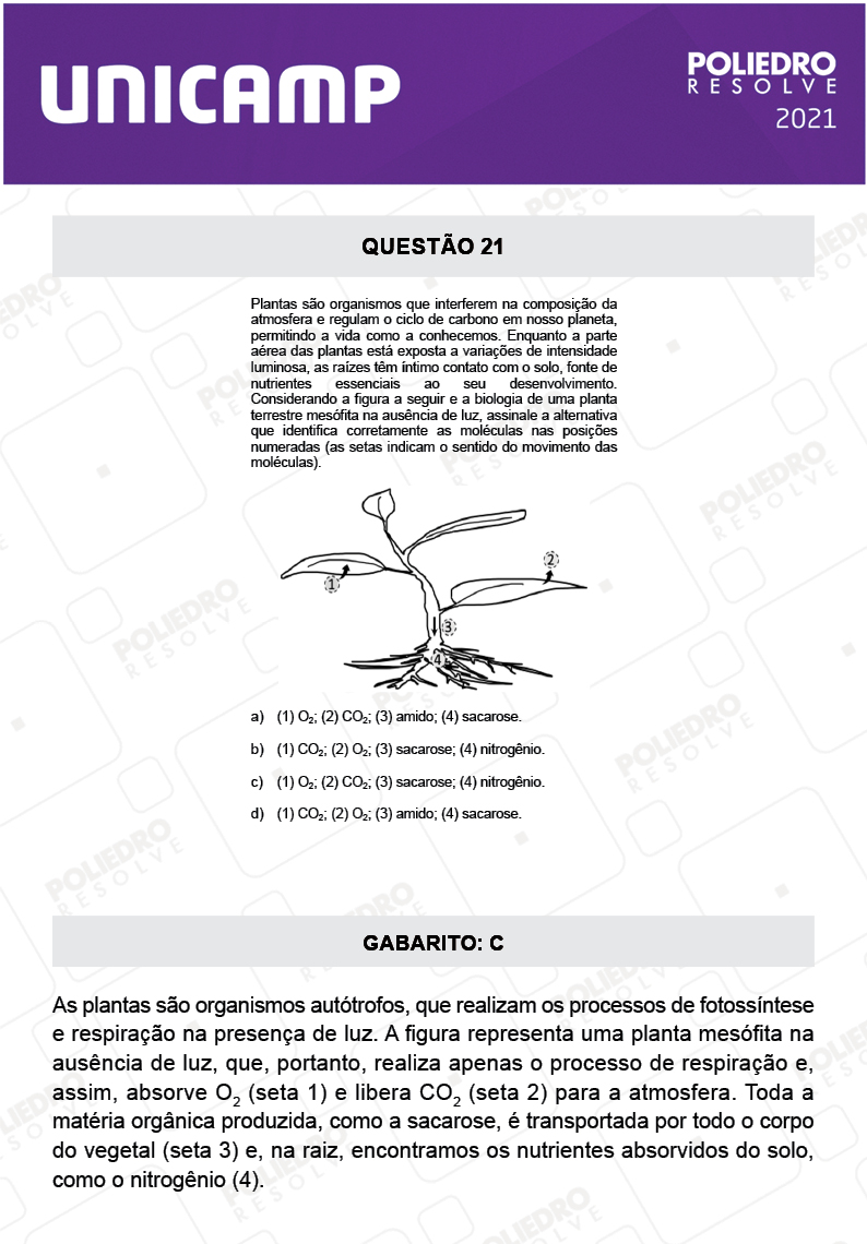 Questão 21 - 1ª Fase - 2º Dia - Q e Z - UNICAMP 2021