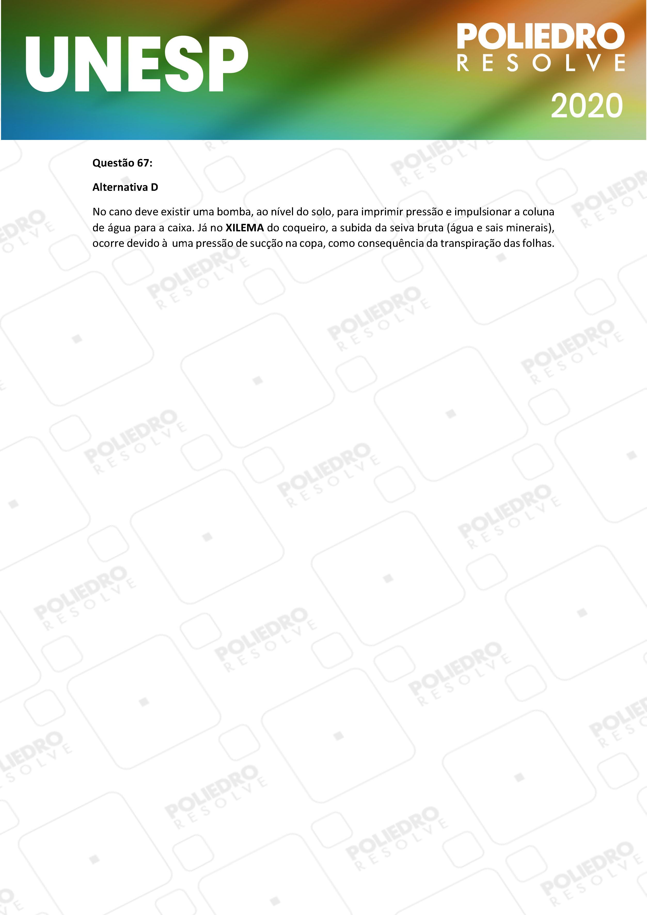 Questão 67 - 1ª Fase - UNESP 2020