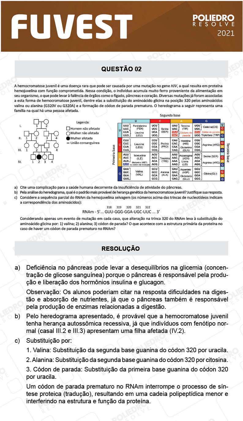 Dissertação 2 - 2ª Fase - 2º Dia - FUVEST 2021