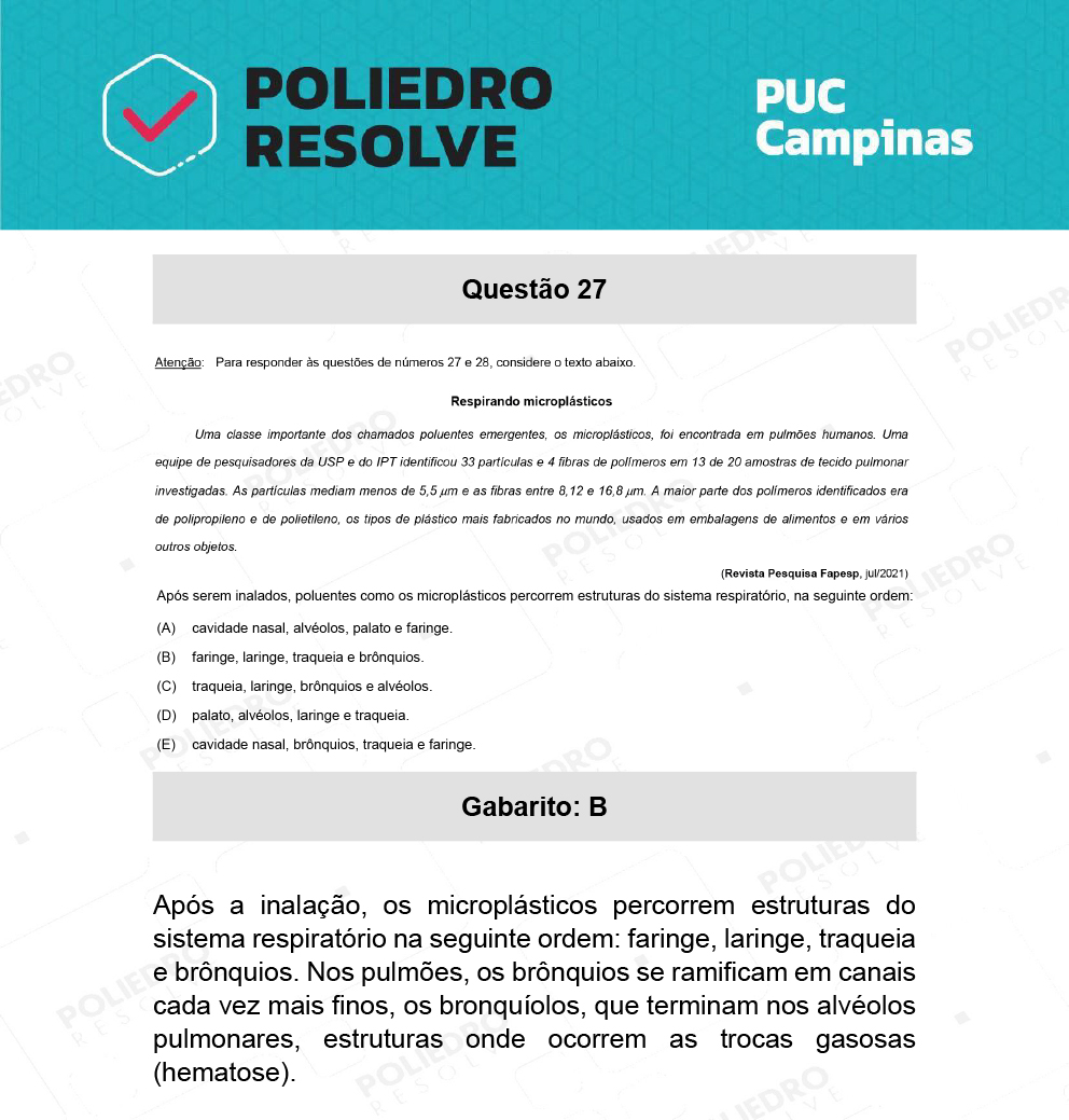 Questão 27 - Direito - PUC-Campinas 2022