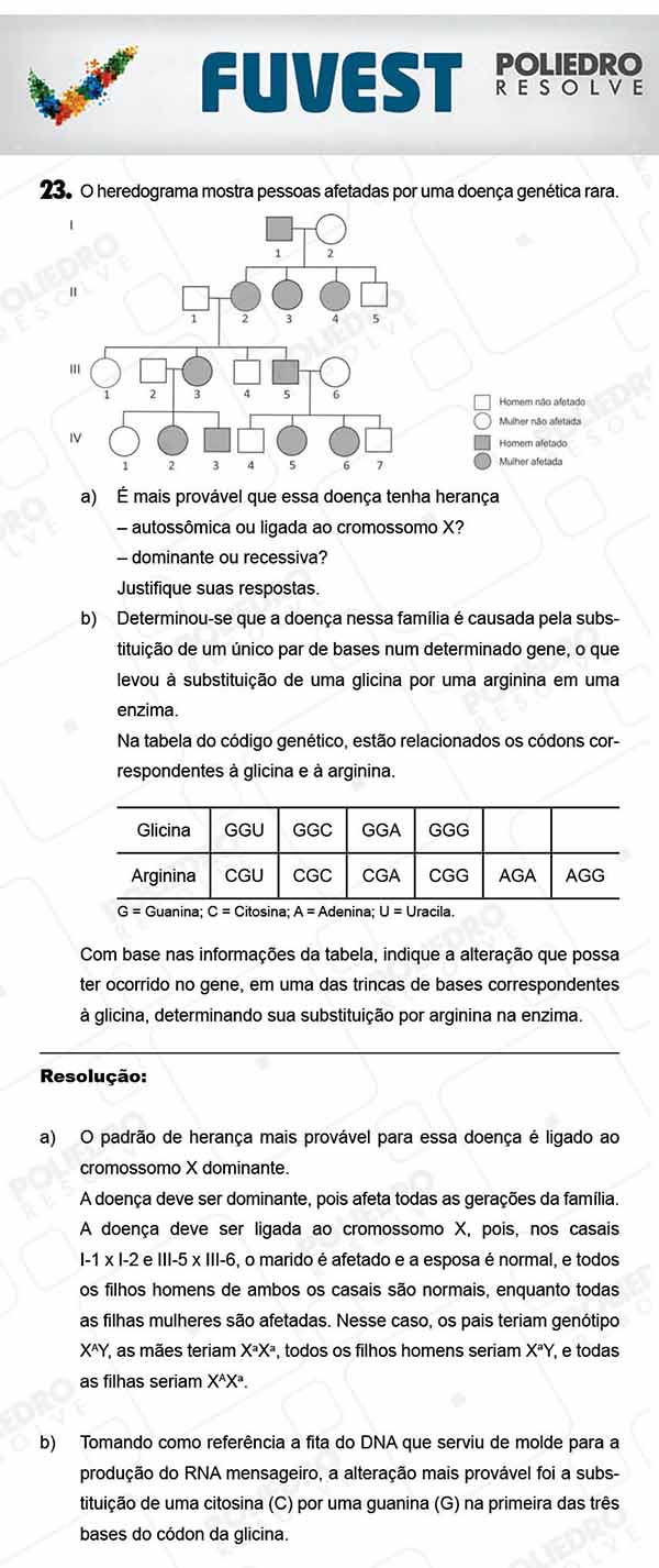 Dissertação 5 - 2ª Fase - 3º Dia - FUVEST 2018