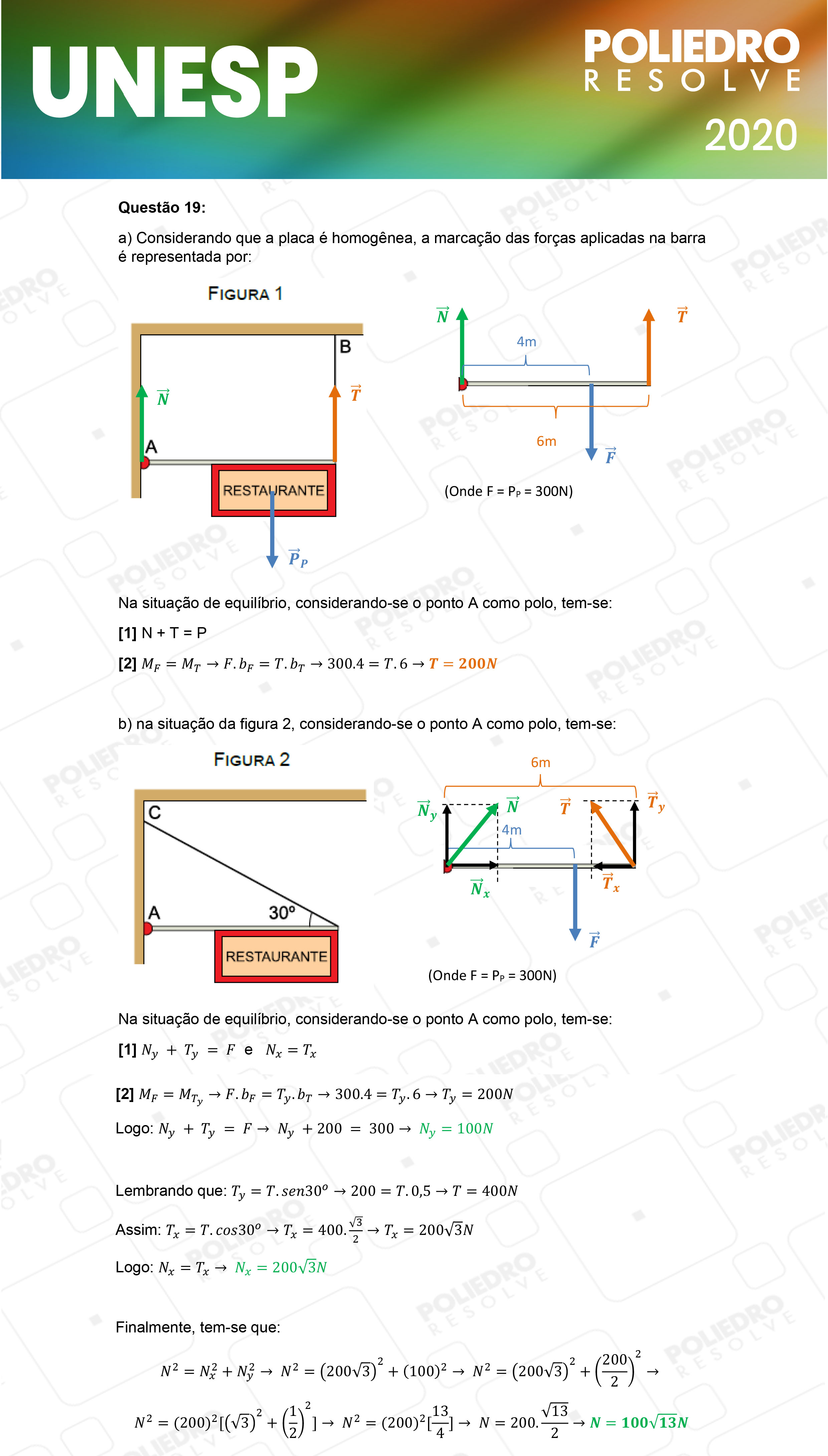 Dissertação 19 - 2ª Fase - 1º Dia - UNESP 2020