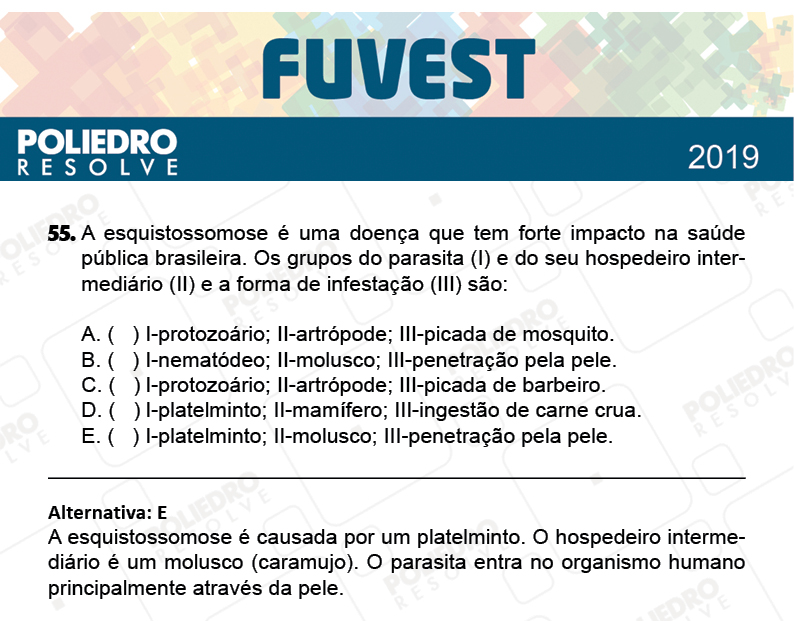 Questão 55 - 1ª Fase - Prova Q - FUVEST 2019