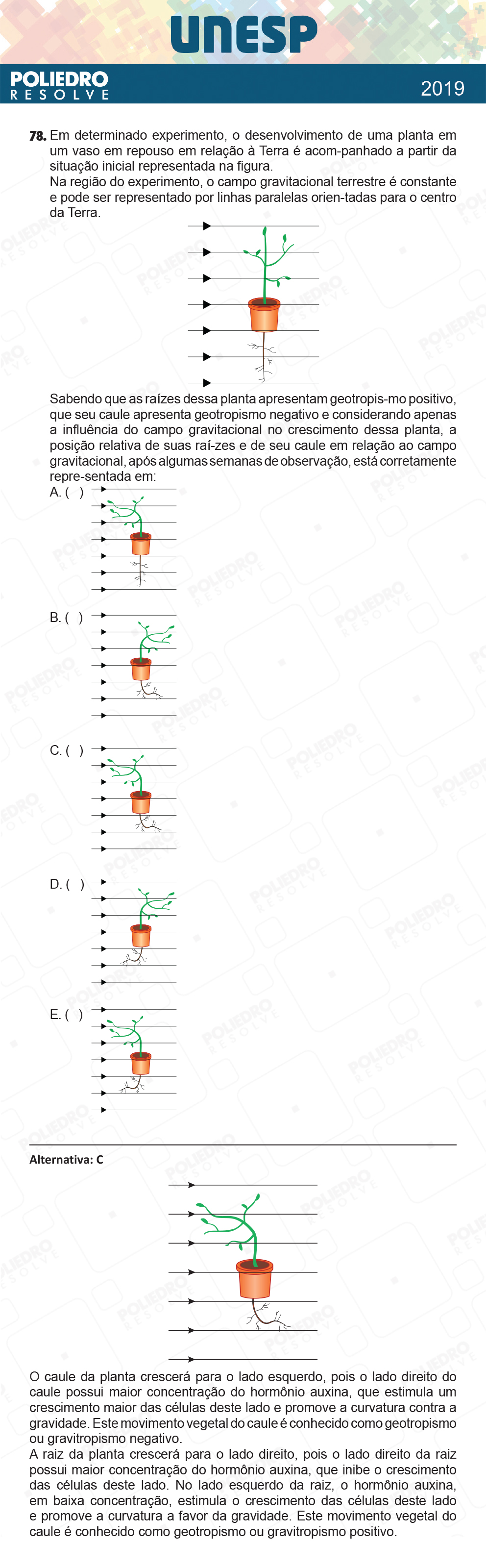 Questão 78 - 1ª Fase - UNESP 2019