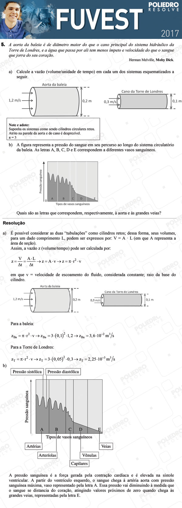 Dissertação 5 - 2ª Fase - 2º Dia - FUVEST 2017