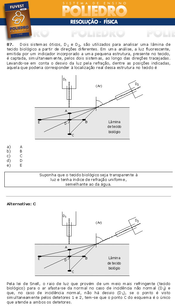 Questão 87 - 1ª Fase - FUVEST 2009