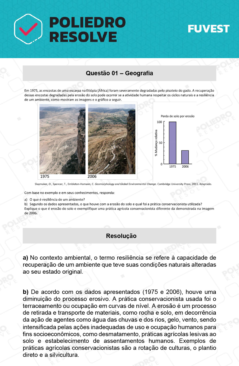 Dissertação 1 - 2ª Fase - 2º Dia - FUVEST 2022