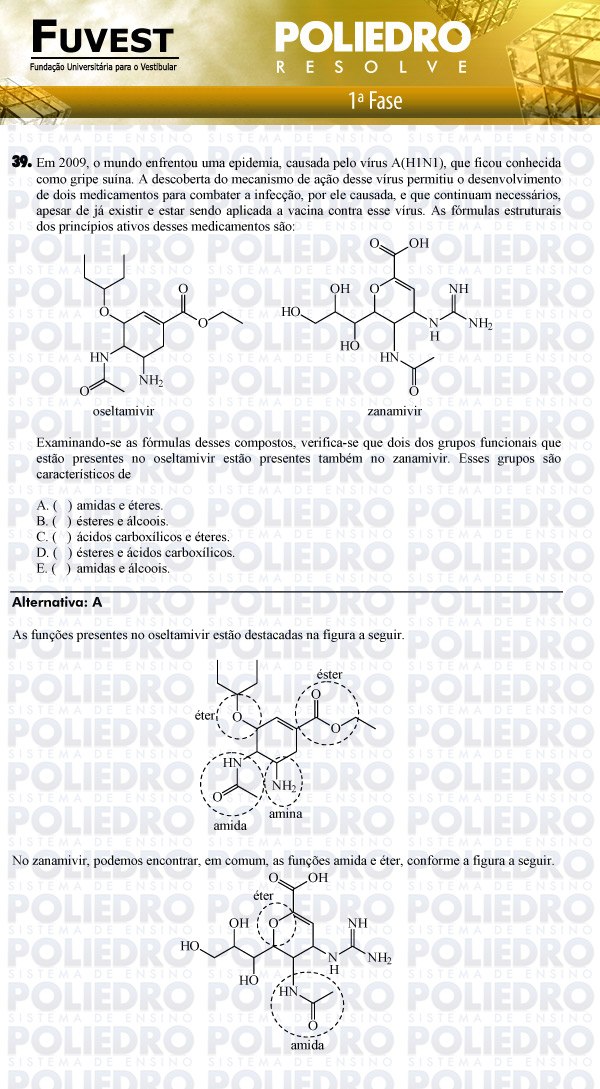 Questão 39 - 1ª Fase - FUVEST 2011