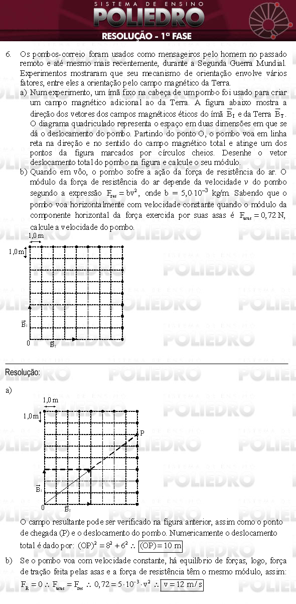 Dissertação 6 - 1ª Fase - UNICAMP 2009