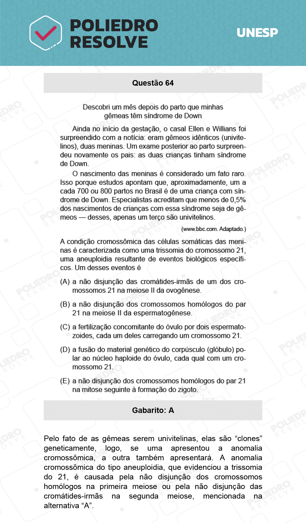 Questão 64 - 1ª Fase - Biológicas - UNESP 2022