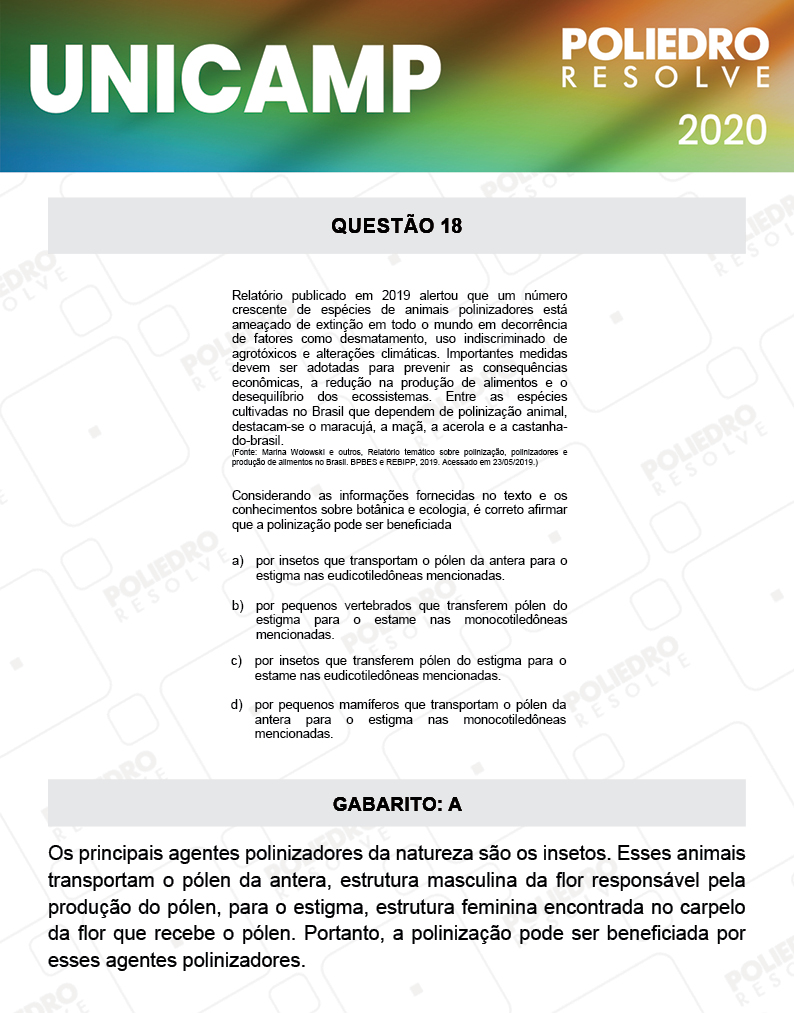 Questão 18 - 1ª Fase - Prova Q e X - UNICAMP 2020