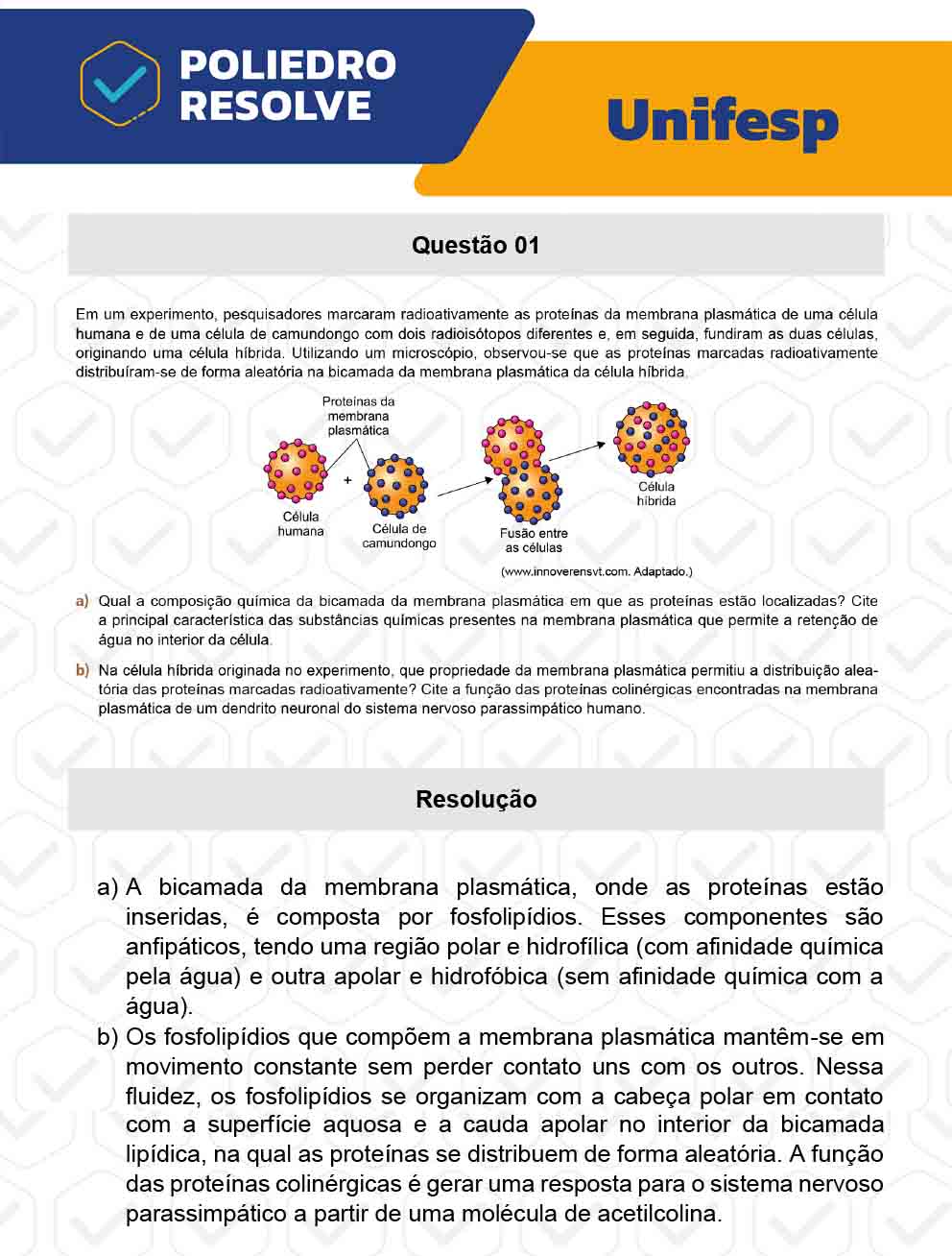 Dissertação 1 - 2º Dia - UNIFESP 2023