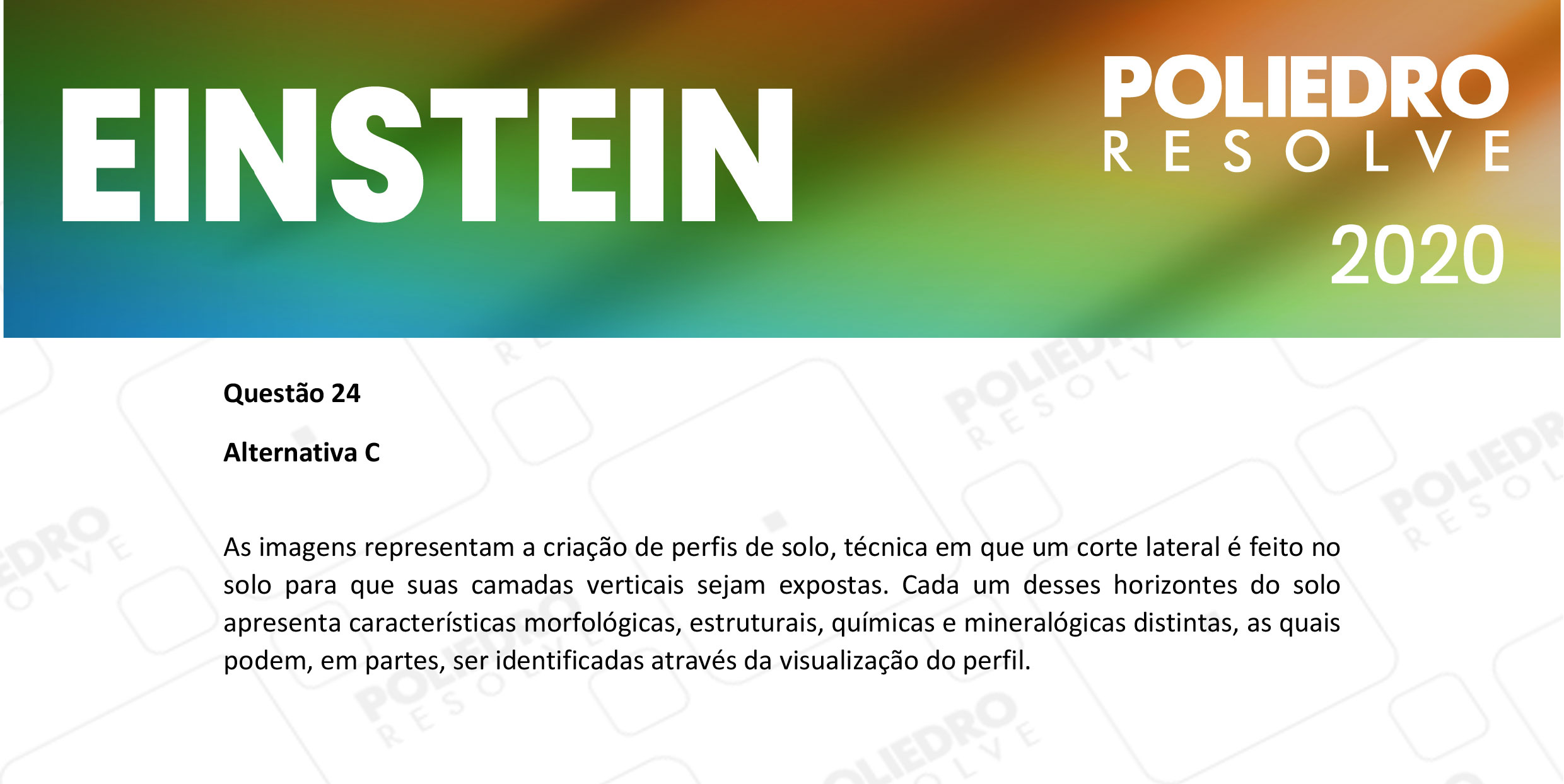 Questão 24 - Fase única - EINSTEIN 2020