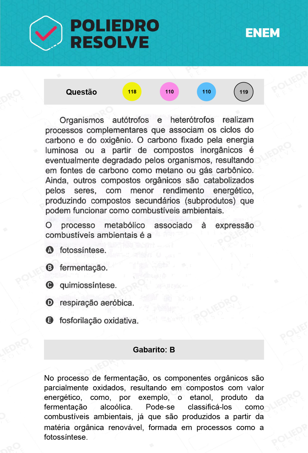 Questão 119 - 2º Dia - Prova Cinza - ENEM 2021