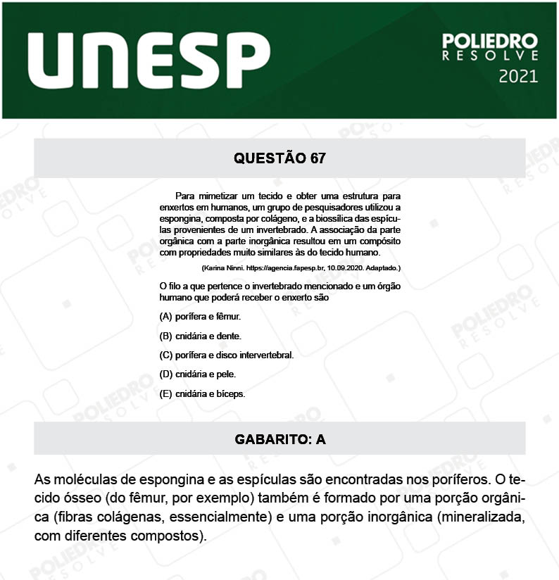 Questão 67 - 1ª Fase - 1º Dia - UNESP 2021