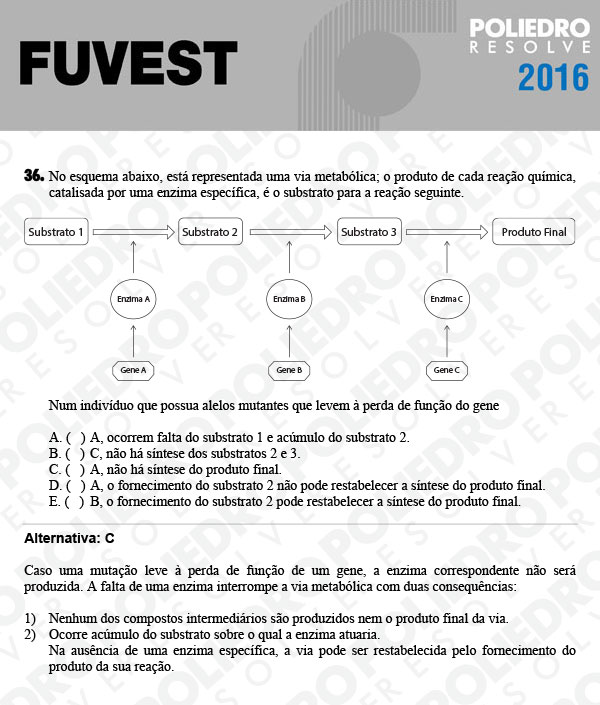 Questão 36 - 1ª Fase - FUVEST 2016