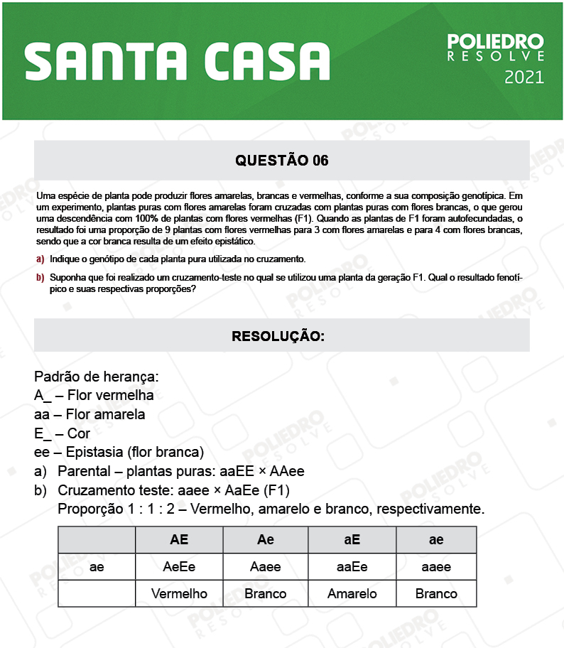 Dissertação 6 - 2º Dia - SANTA CASA 2021