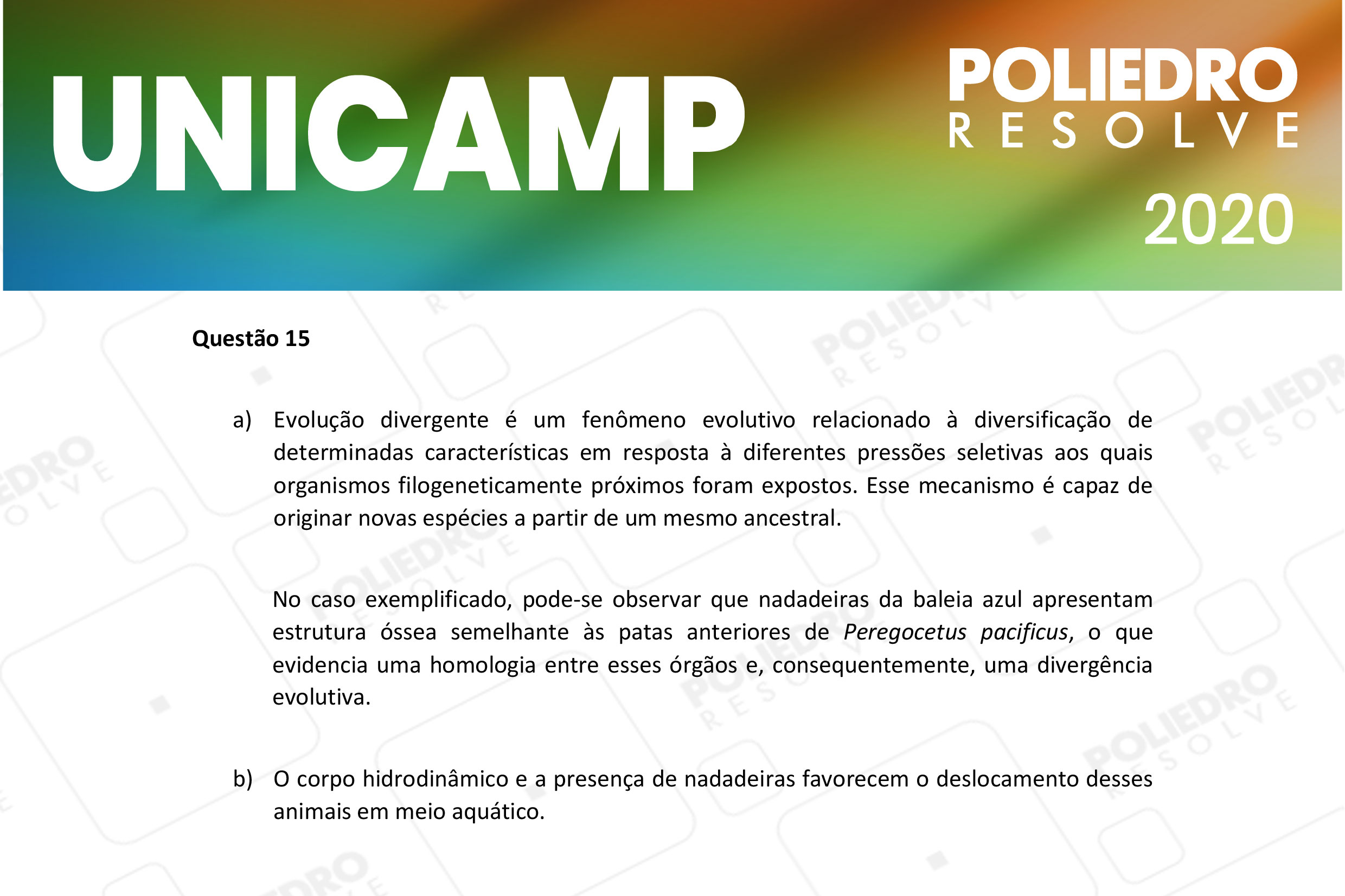 Dissertação 15 - 2ª Fase - 2º Dia - UNICAMP 2020