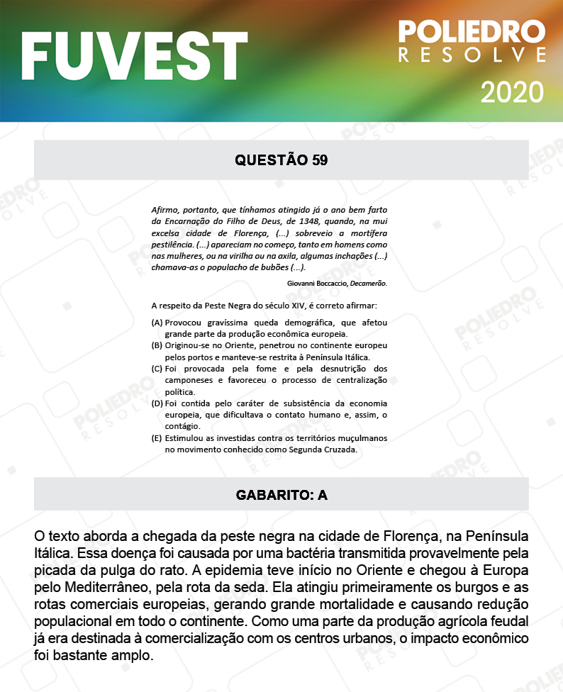 Questão 59 - 1ª Fase - Prova V - FUVEST 2020