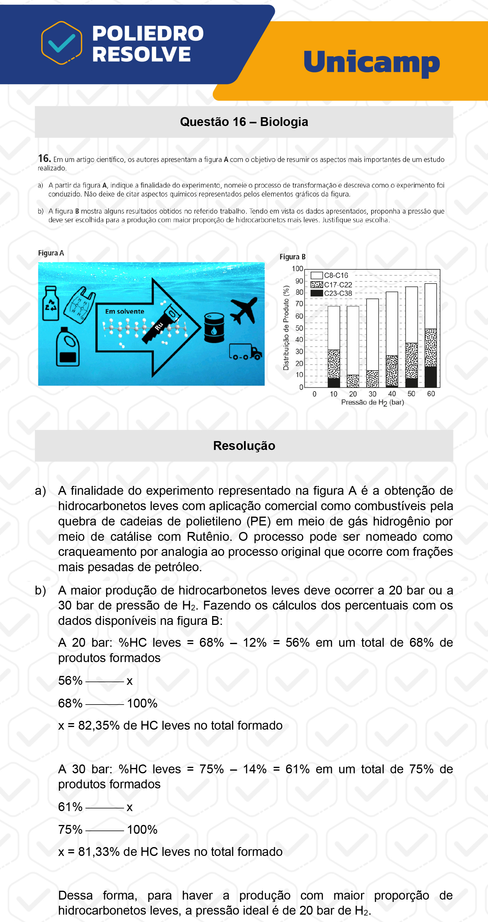 Dissertação 16 - 2ª Fase - 2º Dia - UNICAMP 2023