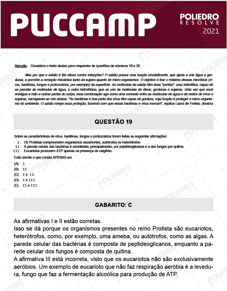 Questão 19 - Demais Cursos - PUC-Campinas 2021