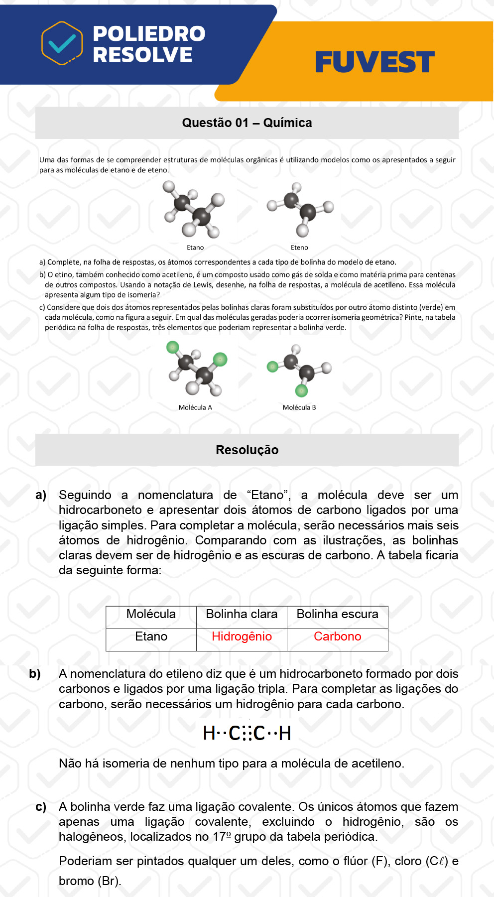 Dissertação 1 - 2ª Fase - 2º Dia - FUVEST 2023