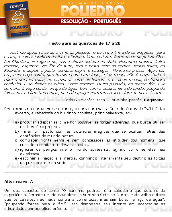 Questão 17 - 1ª Fase - FUVEST 2009