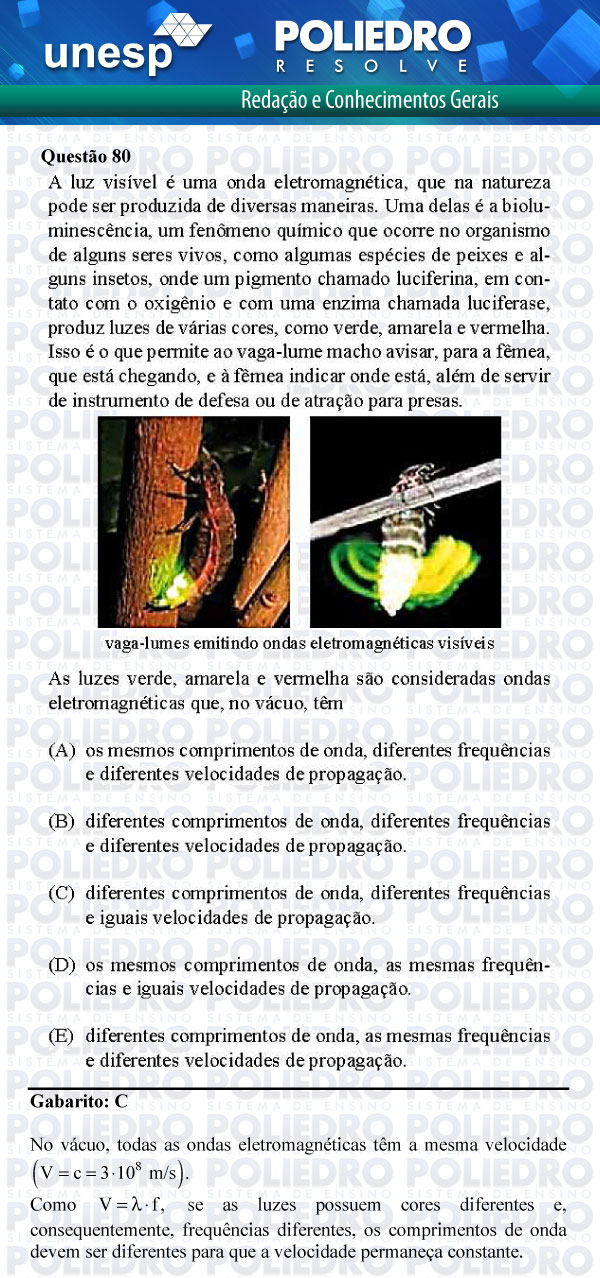 Questão 80 - 1ª Fase - UNESP 2012