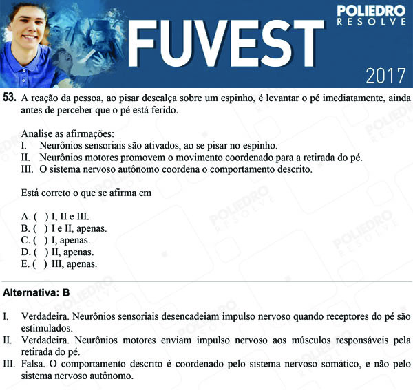 Questão 53 - 1ª Fase - FUVEST 2017