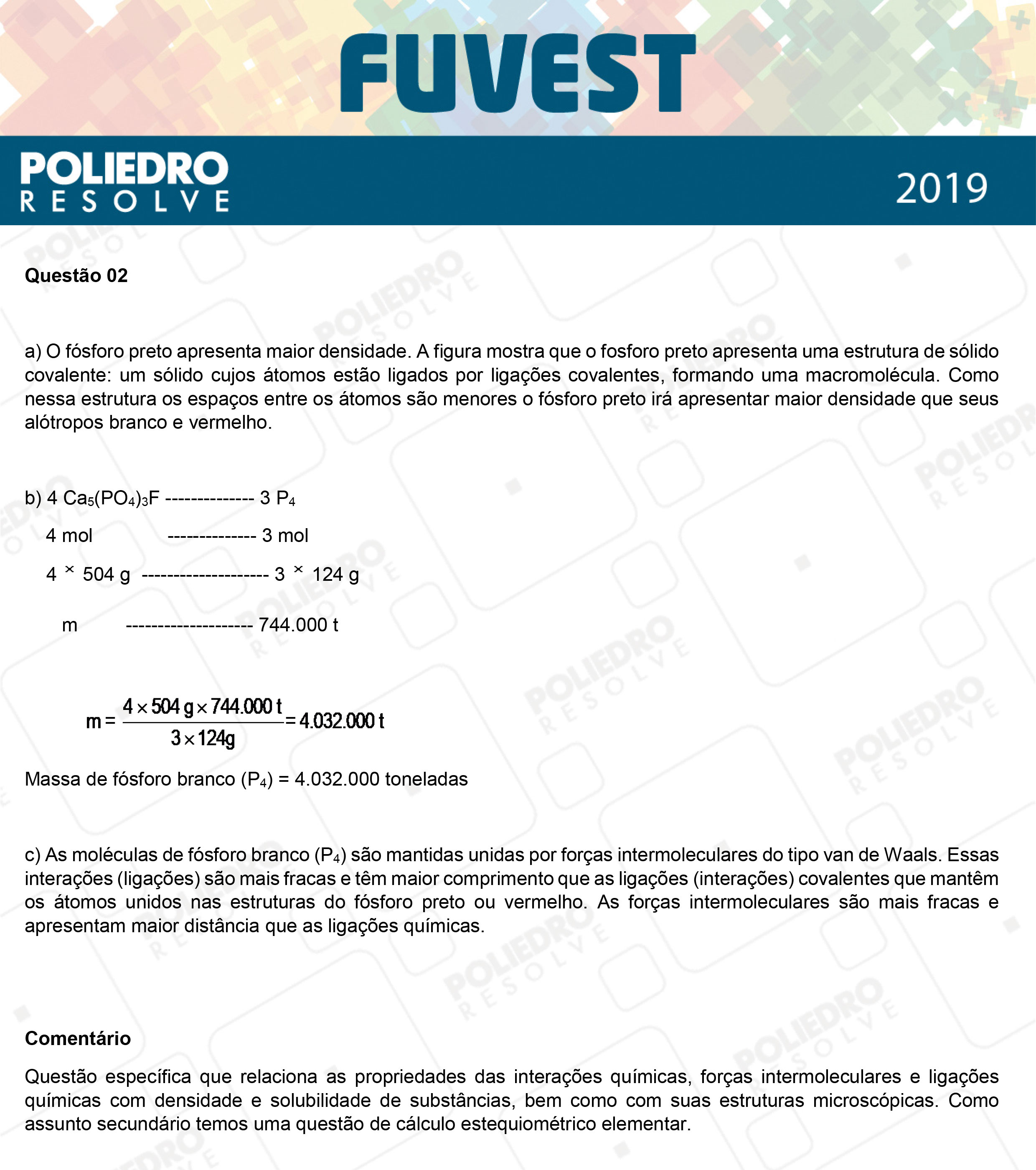 Dissertação 2 - 2ª Fase - 2º Dia - FUVEST 2019