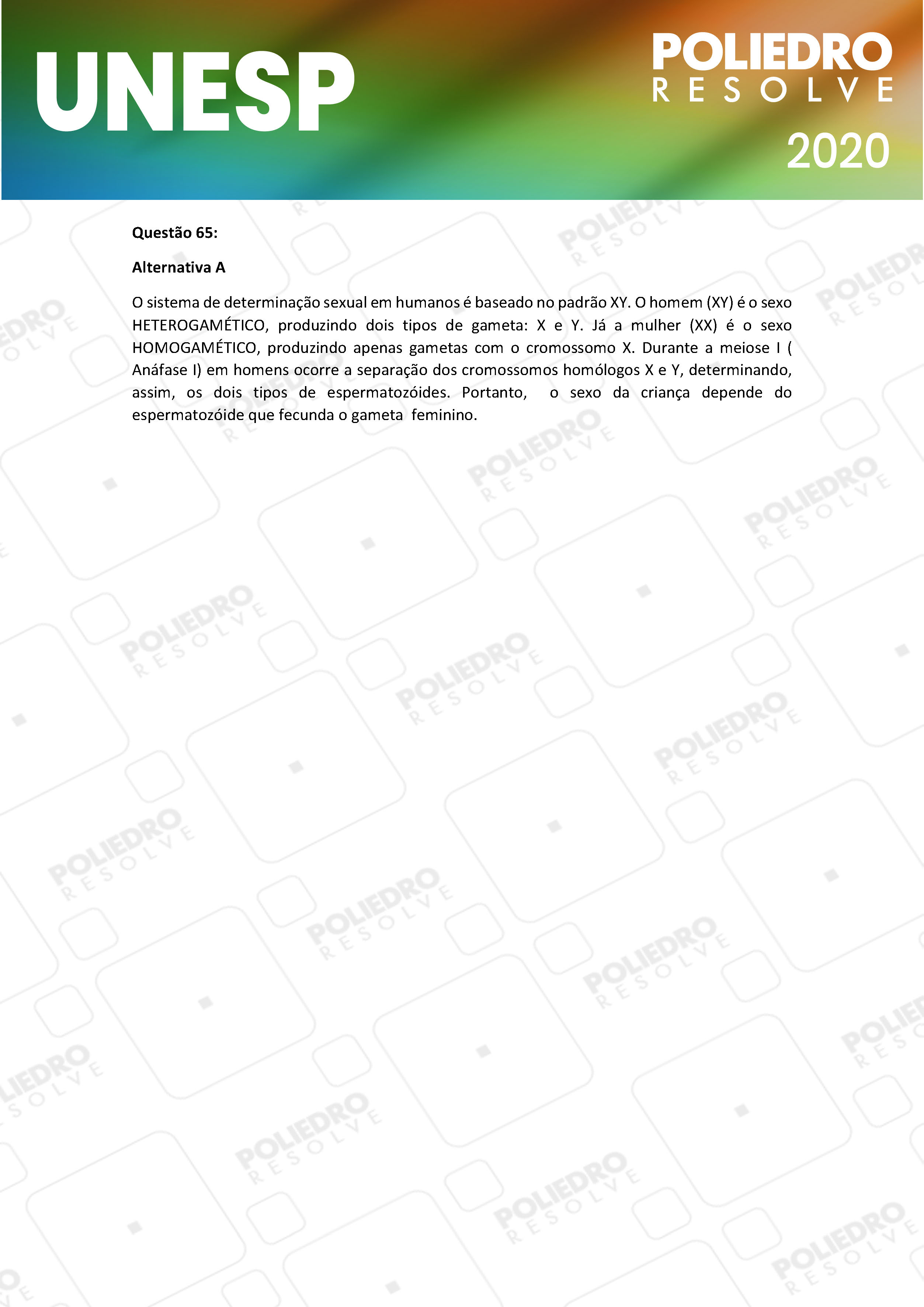 Questão 65 - 1ª Fase - UNESP 2020