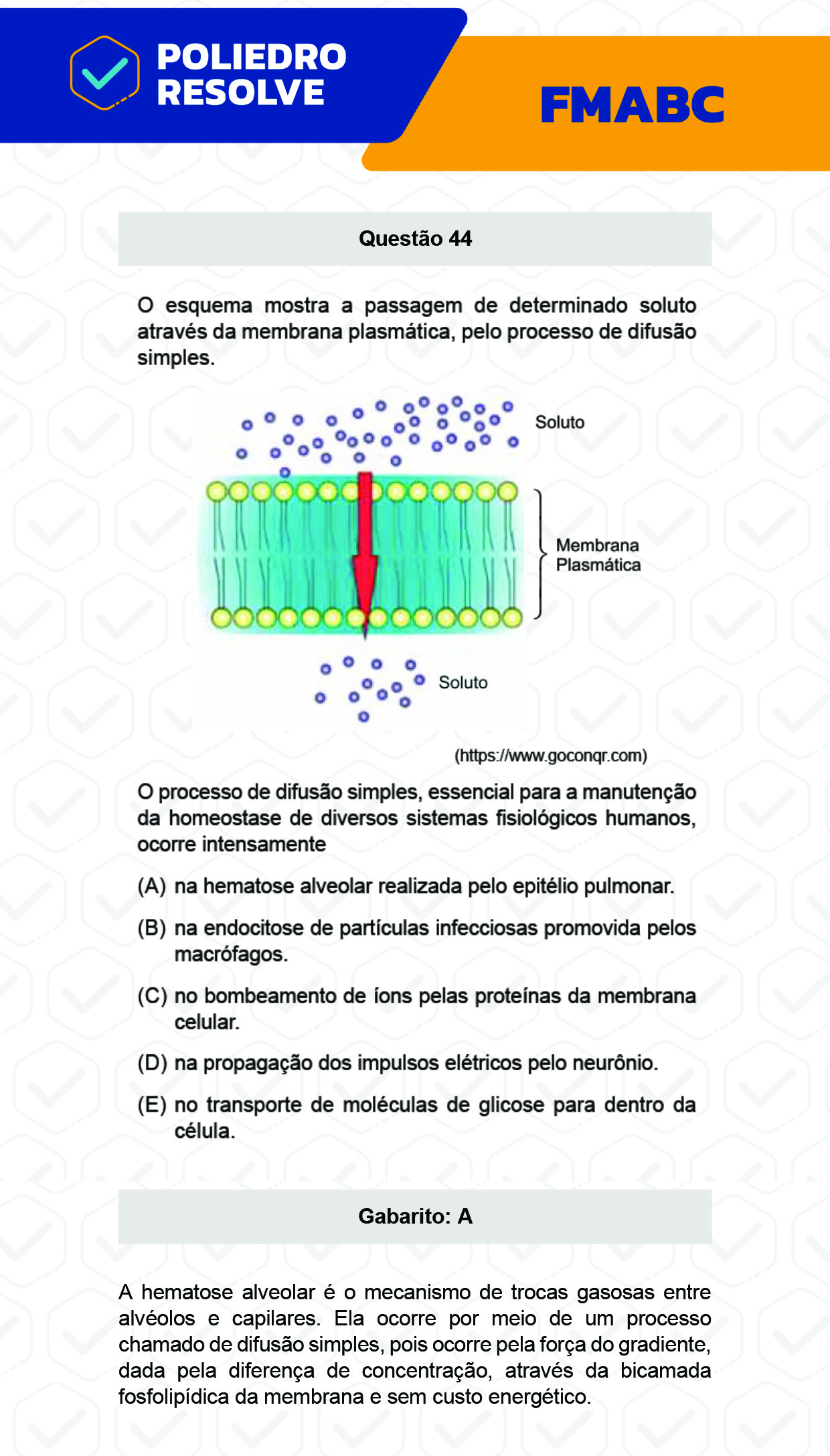 Questão 44 - Fase única - FMABC 2023