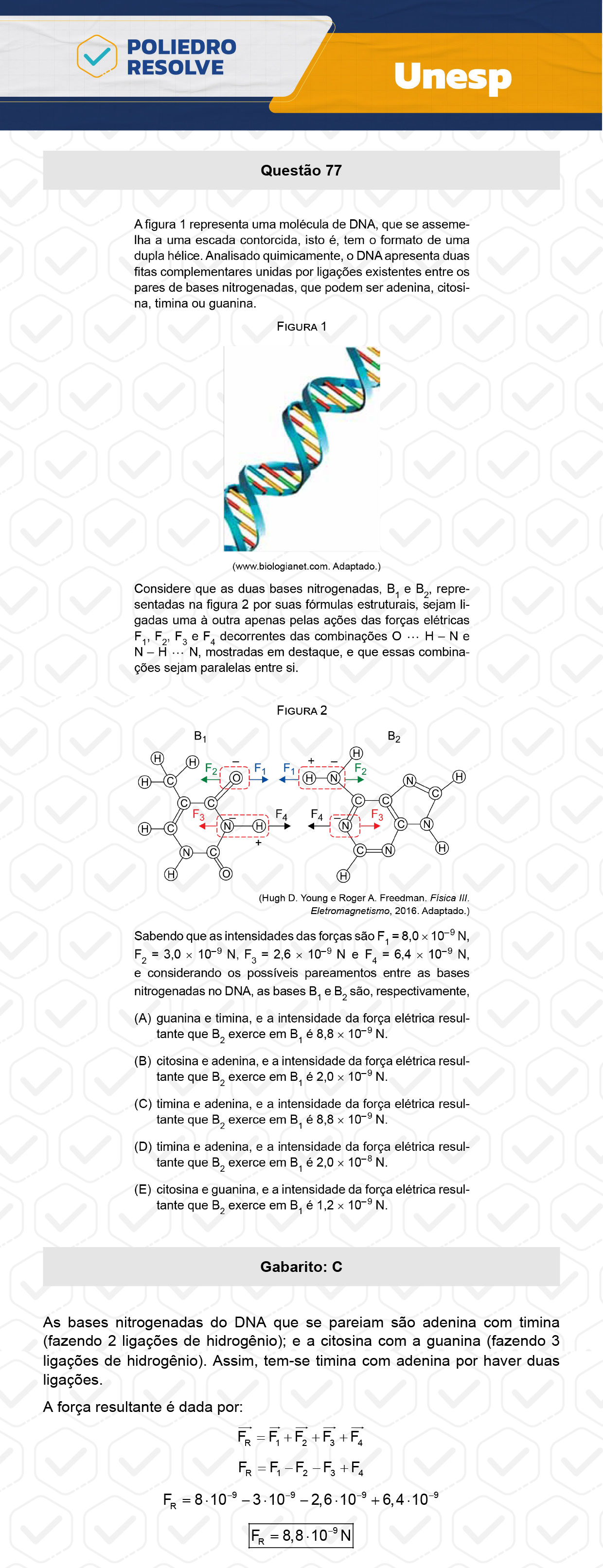 Questão 77 - 1ª Fase - UNESP 2024