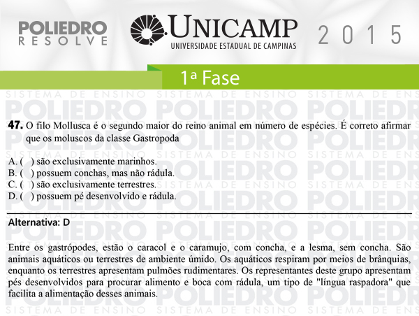 Questão 47 - 1ª Fase - UNICAMP 2015