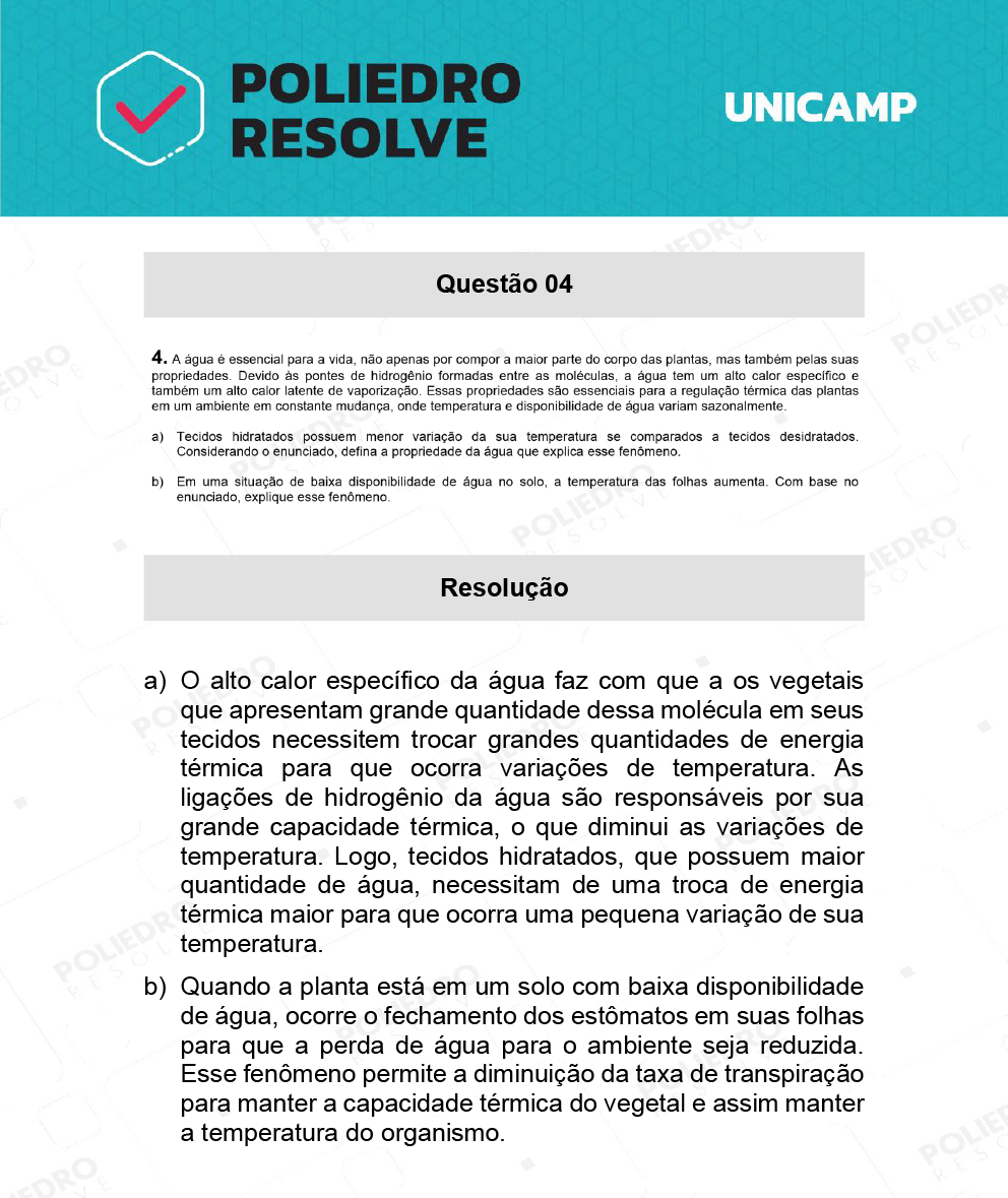 Dissertação 4 - 2ª Fase - 2º Dia - UNICAMP 2022