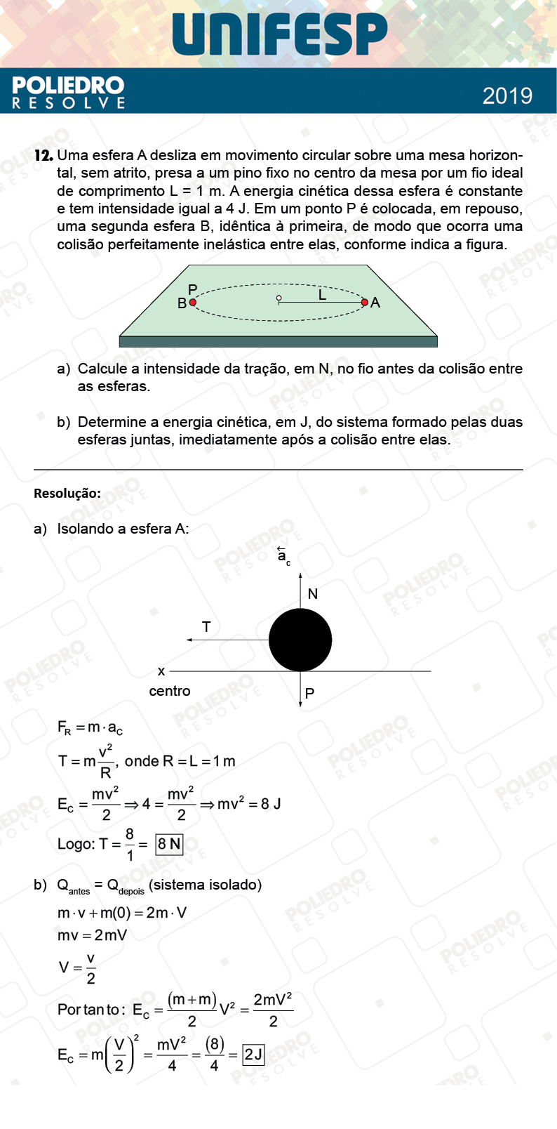 Dissertação 12 - Fase única - 2º Dia - UNIFESP 2019