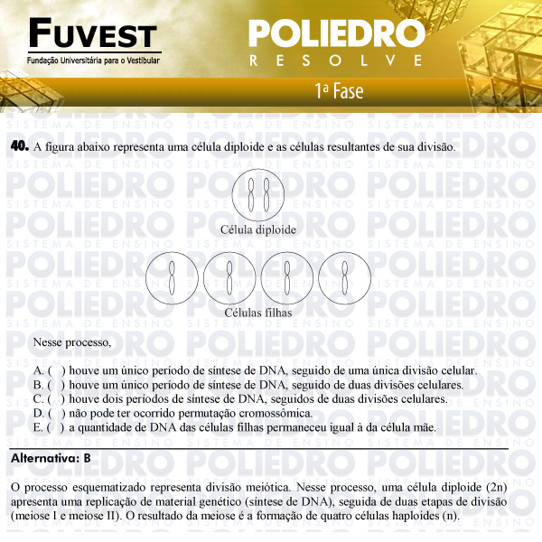 Questão 40 - 1ª Fase - FUVEST 2011