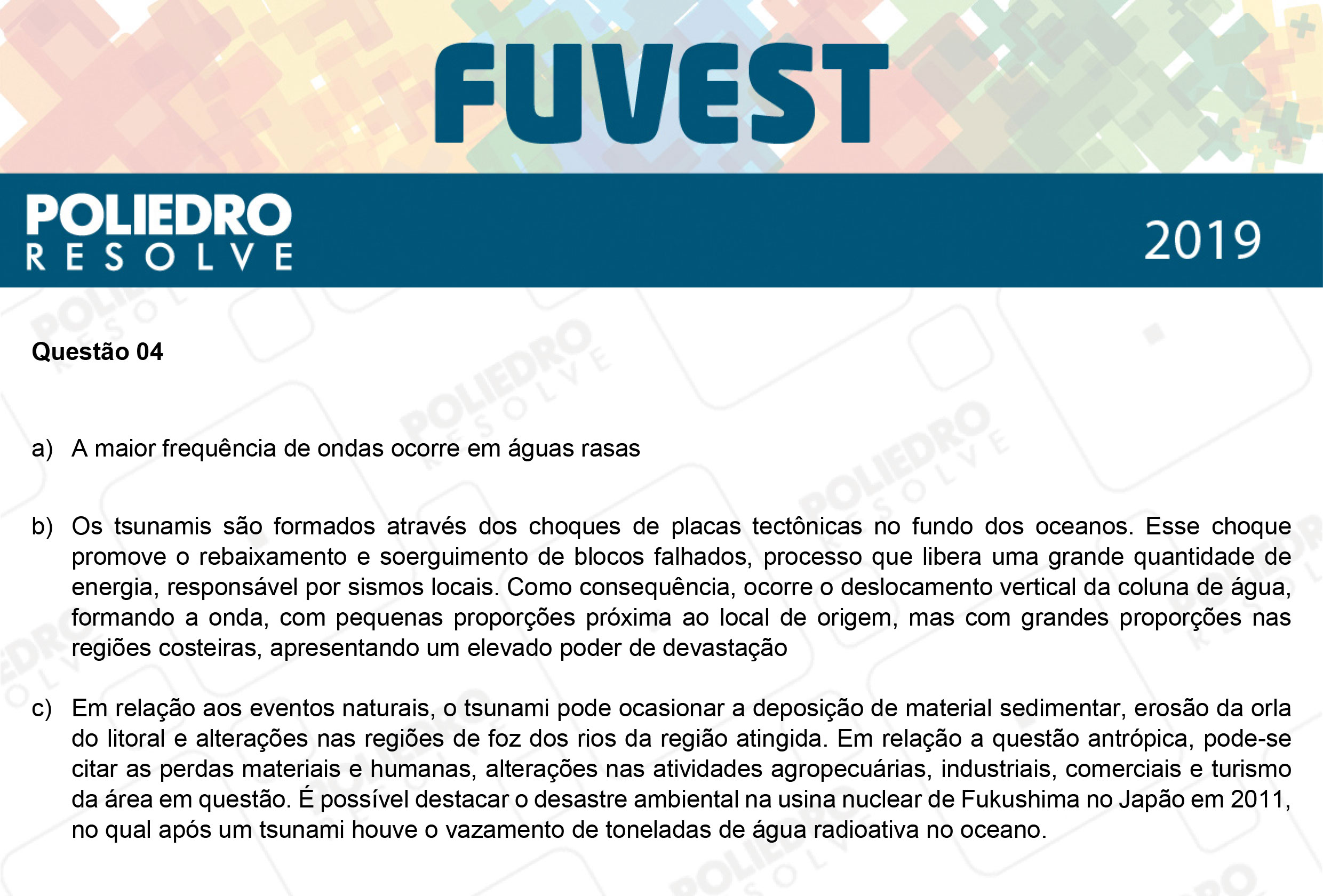 Dissertação 4 - 2ª Fase - 2º Dia - FUVEST 2019