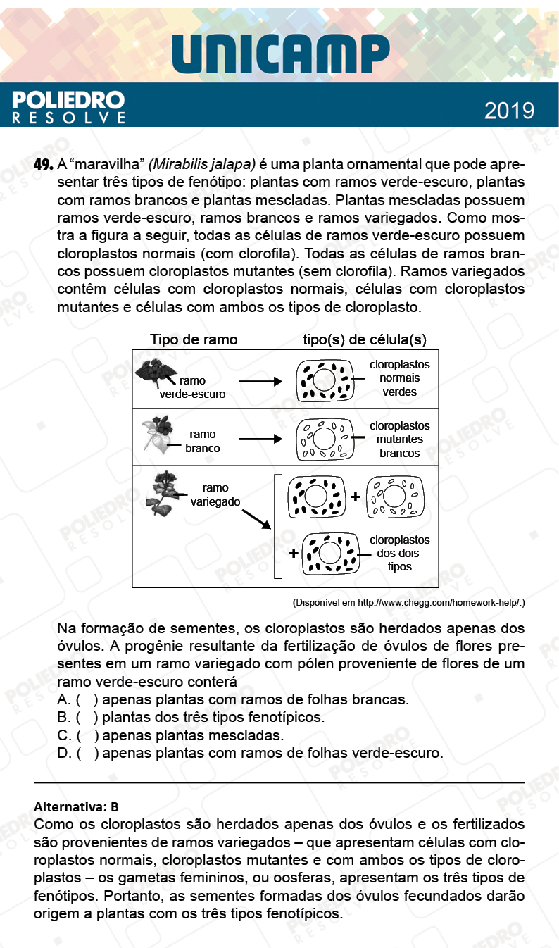 Questão 49 - 1ª Fase - PROVA Q e X - UNICAMP 2019