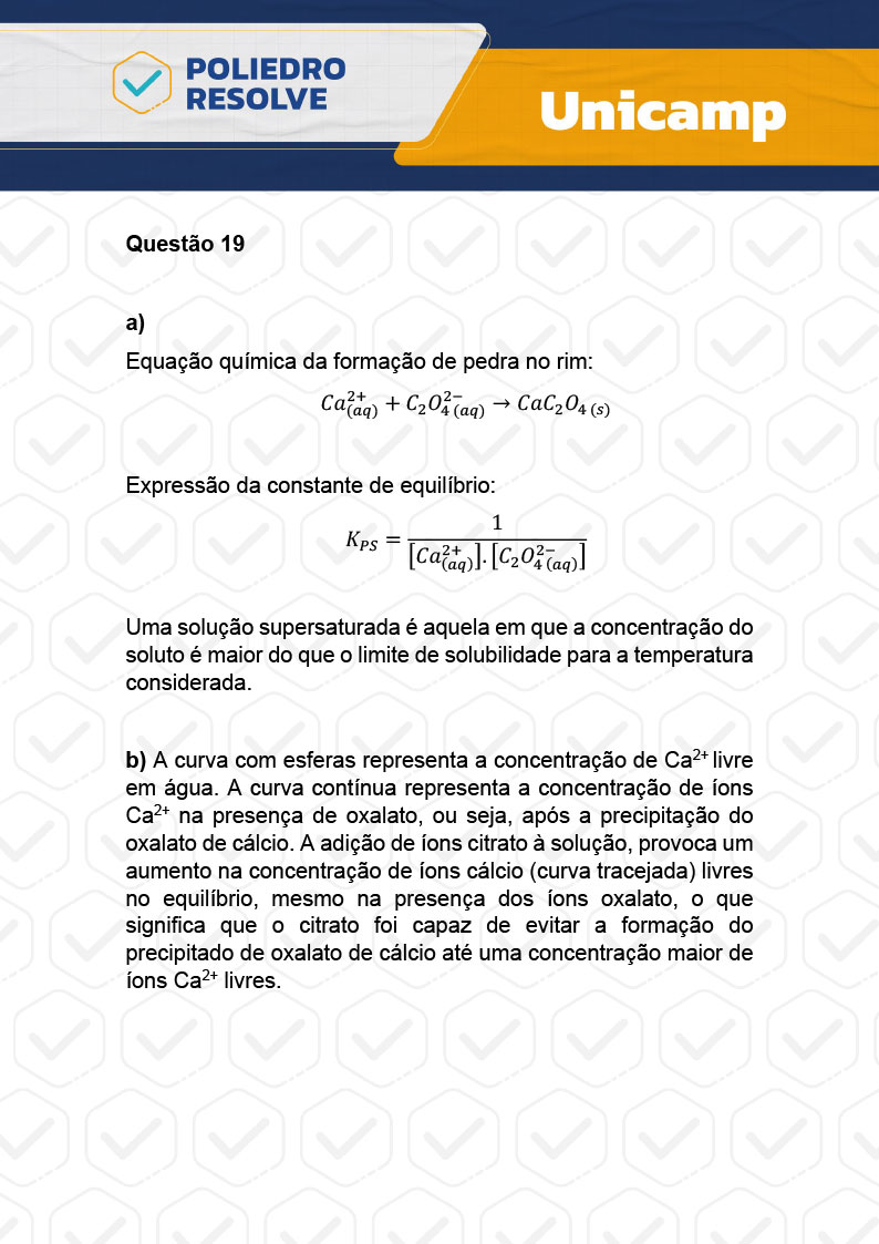 Dissertação 19 - 2ª Fase - 2º Dia - UNICAMP 2024