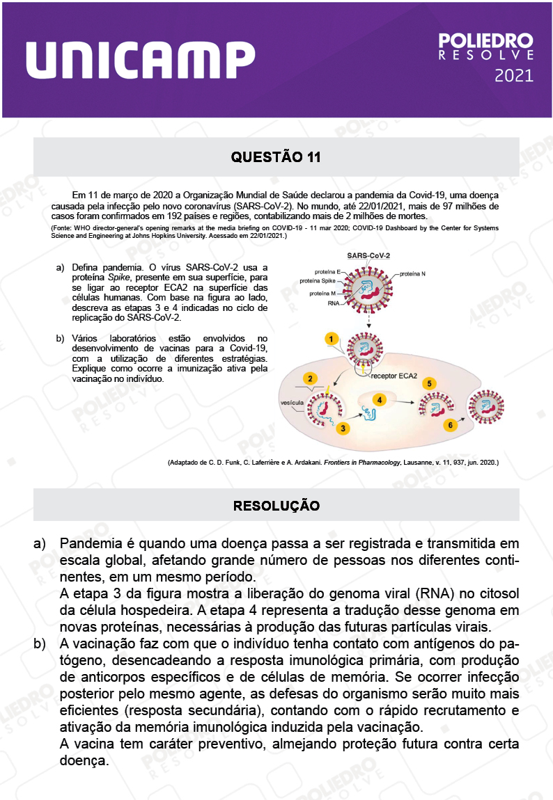 Dissertação 11 - 2ª Fase - 2º Dia - UNICAMP 2021