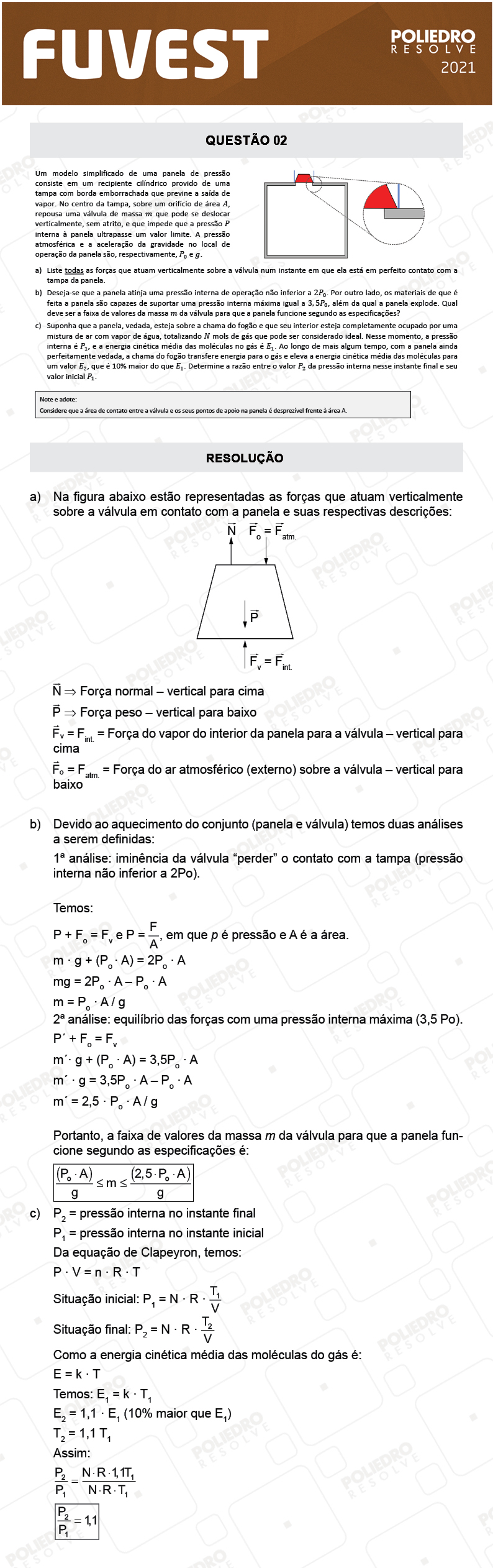 Dissertação 2 - 2ª Fase - 2º Dia - FUVEST 2021