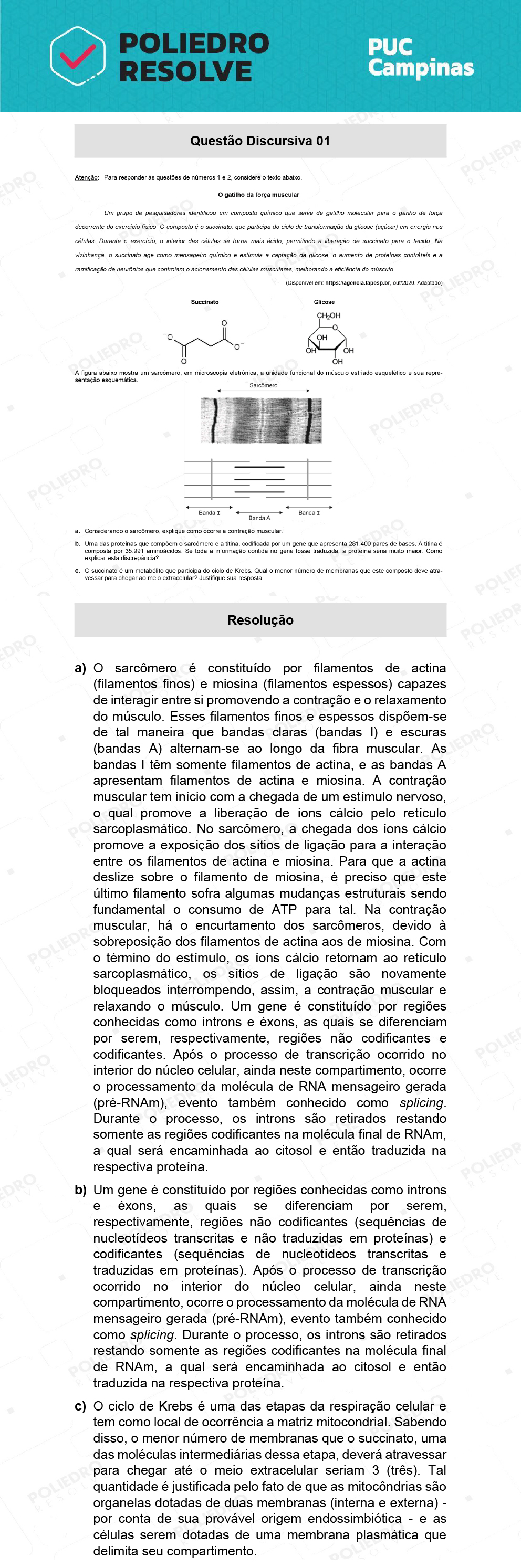 Dissertação 41 - Prova Geral e Medicina - PUC-Campinas 2022