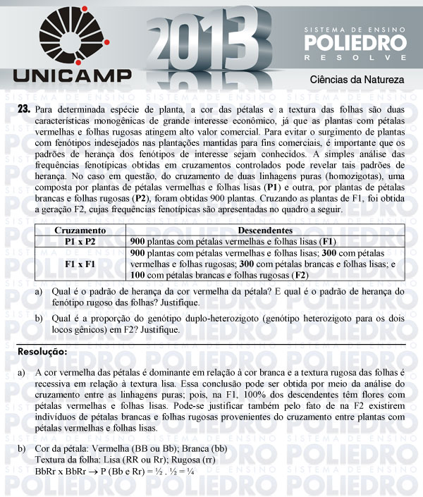 Dissertação 23 - 2ª Fase - UNICAMP 2013