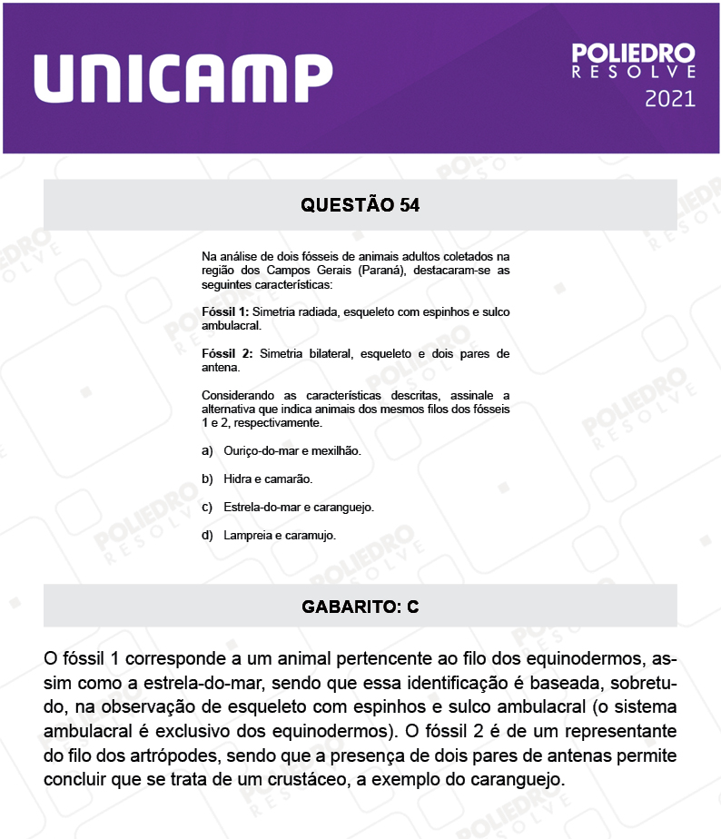 Questão 54 - 1ª Fase - 1º Dia - E e G - UNICAMP 2021