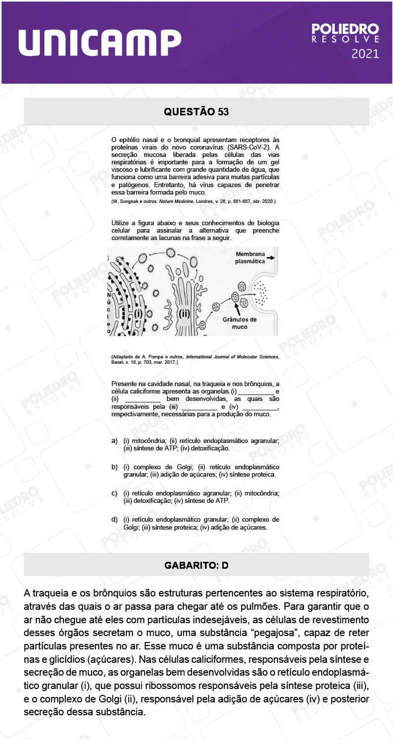 Questão 53 - 1ª Fase - 1º Dia - E e G - UNICAMP 2021