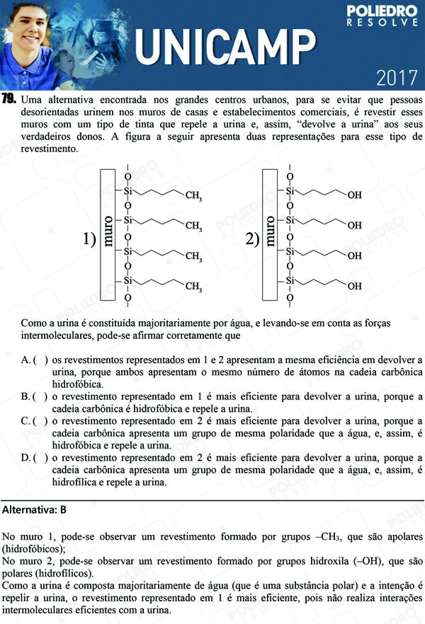 Questão 79 - 1ª Fase - UNICAMP 2017