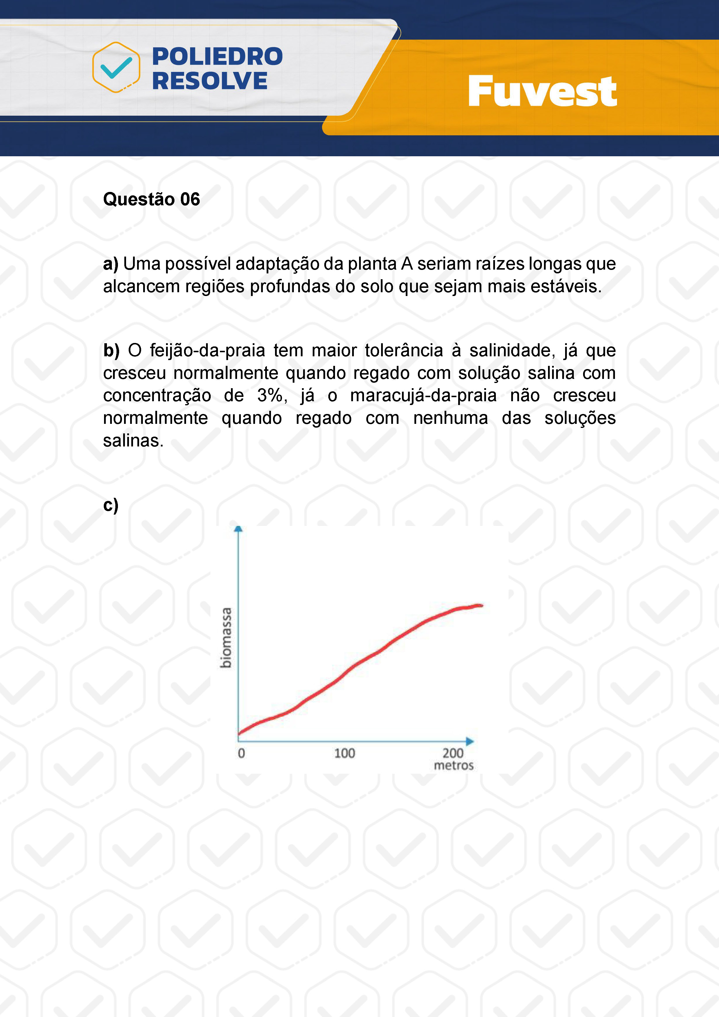 Dissertação 6 - 2ª Fase - 2º Dia - FUVEST 2024